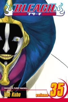Bleach. vol. 35. Higher than the moon