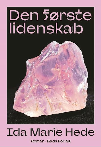 Den første lidenskab : roman