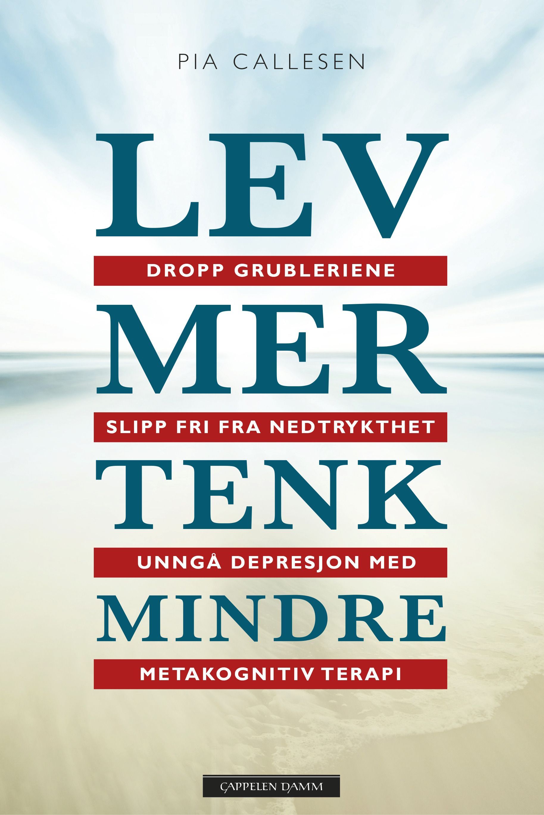 Lev mer tenk mindre : dropp grubleriene - slipp fri fra nedtrykthet og depresjon med metakognitiv terapi
