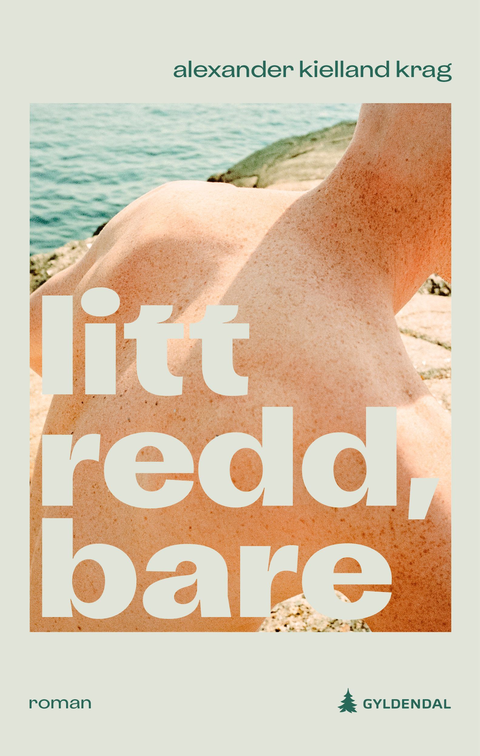 Litt redd, bare : roman