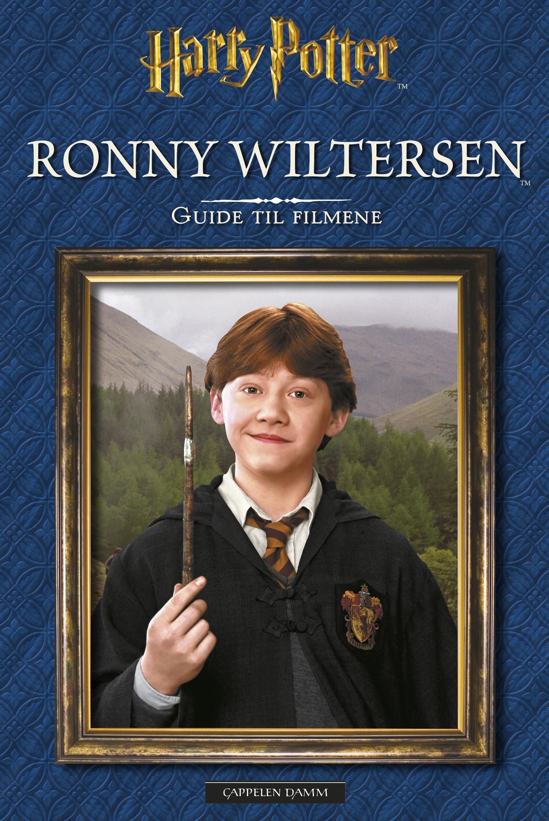 Ronny Wiltersen : guide til filmene