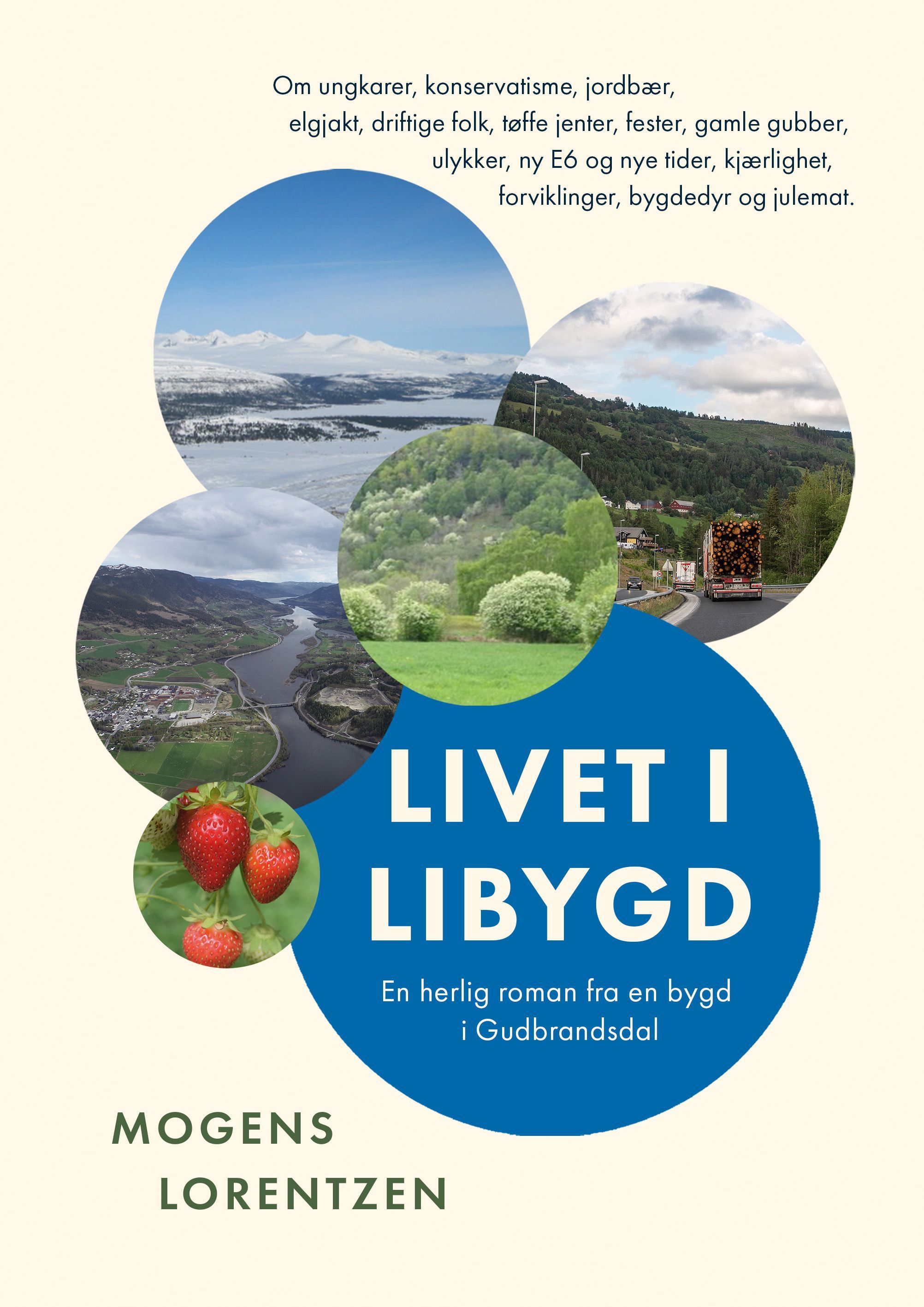Livet i Libygd : om ungkarer, konservatisme, jordbær, elgjakt, driftige folk, tøffe jenter, fester, gamle gubber, ulykker, ny E6 og nye tider, kjærlighet, forviklinger, bygdedyr og julemat : roman fra en bygd i Gudbrandsdalen