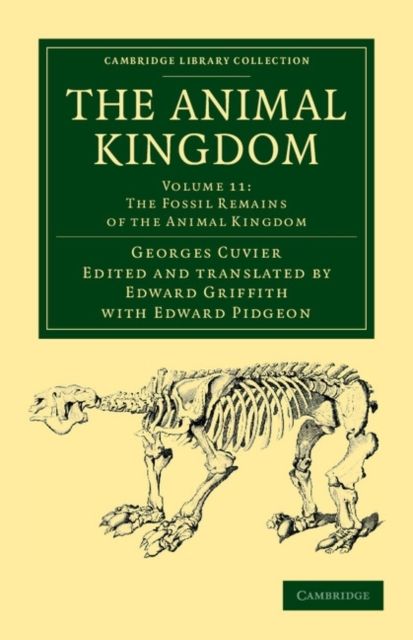 The Animal Kingdom : Arranged in Conformity with its Organization