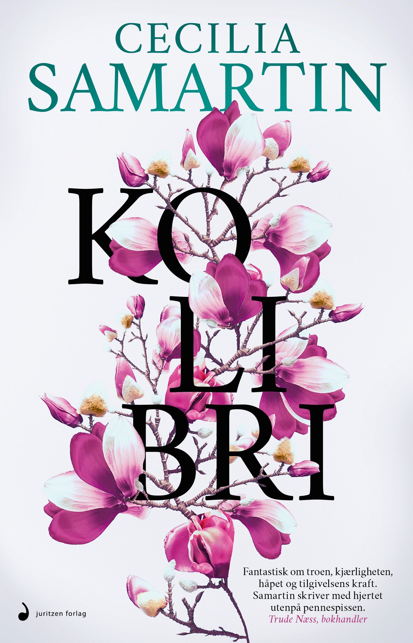 Kolibri : roman