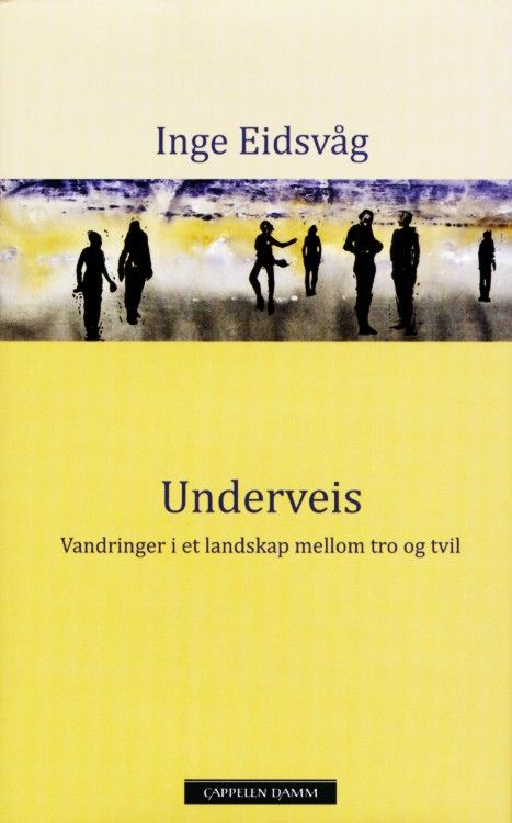 Underveis : vandringer i et landskap mellom tro og tvil