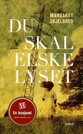 Du skal elske lyset : roman