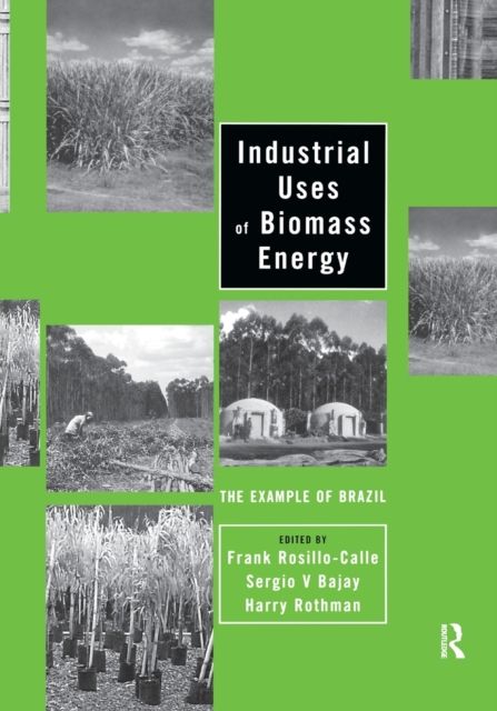 Industrial Uses of Biomass Energy : The Example of Brazil