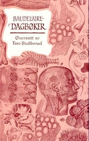 Dagbøker