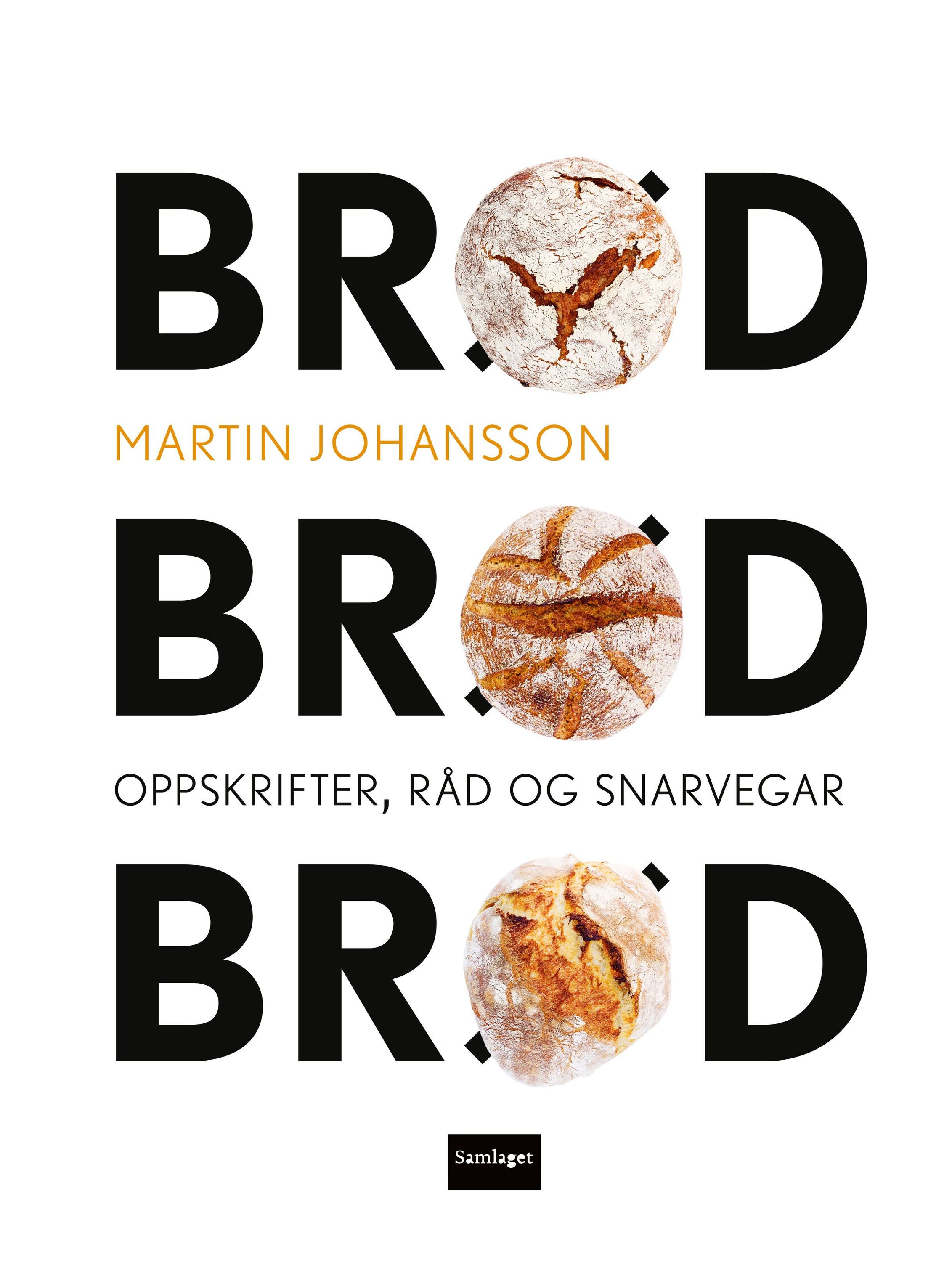 Brød, brød, brød : oppskrifter, råd og snarvegar