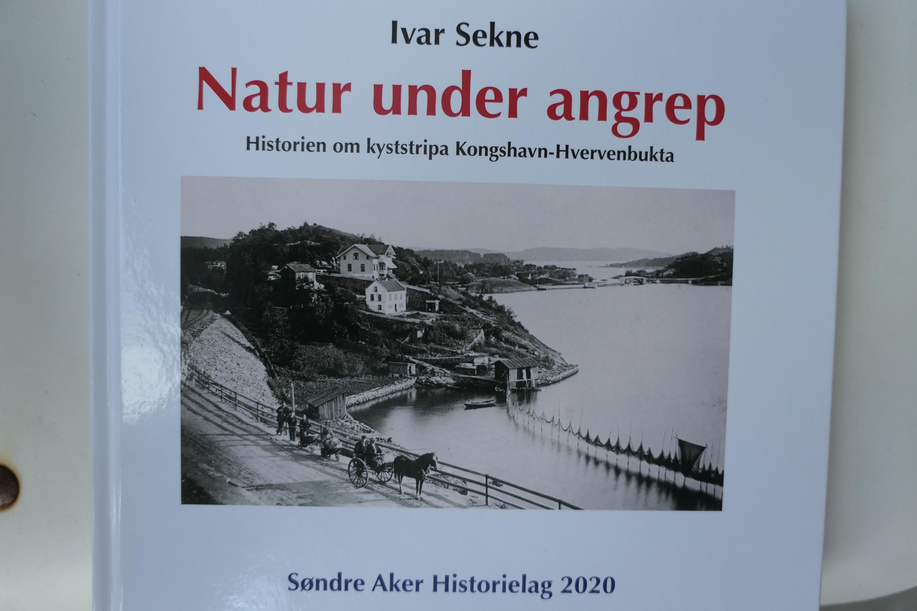 Natur under angrep : historien om kyststripa Kongshavn-Hvervenbukta