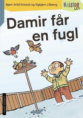 Kaleido les. Nivå 3