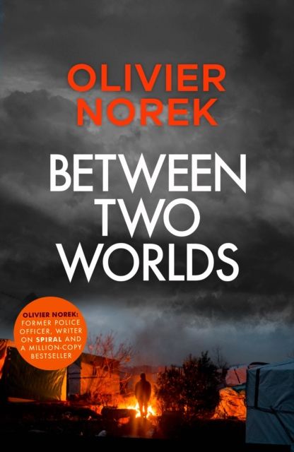 Between Two Worlds : THE TIMES Best Crime Novel of the Year 2024
