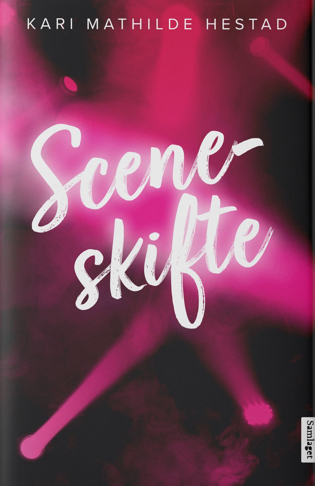 Sceneskifte : roman