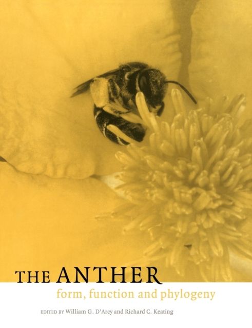 The Anther : Form, Function and Phylogeny