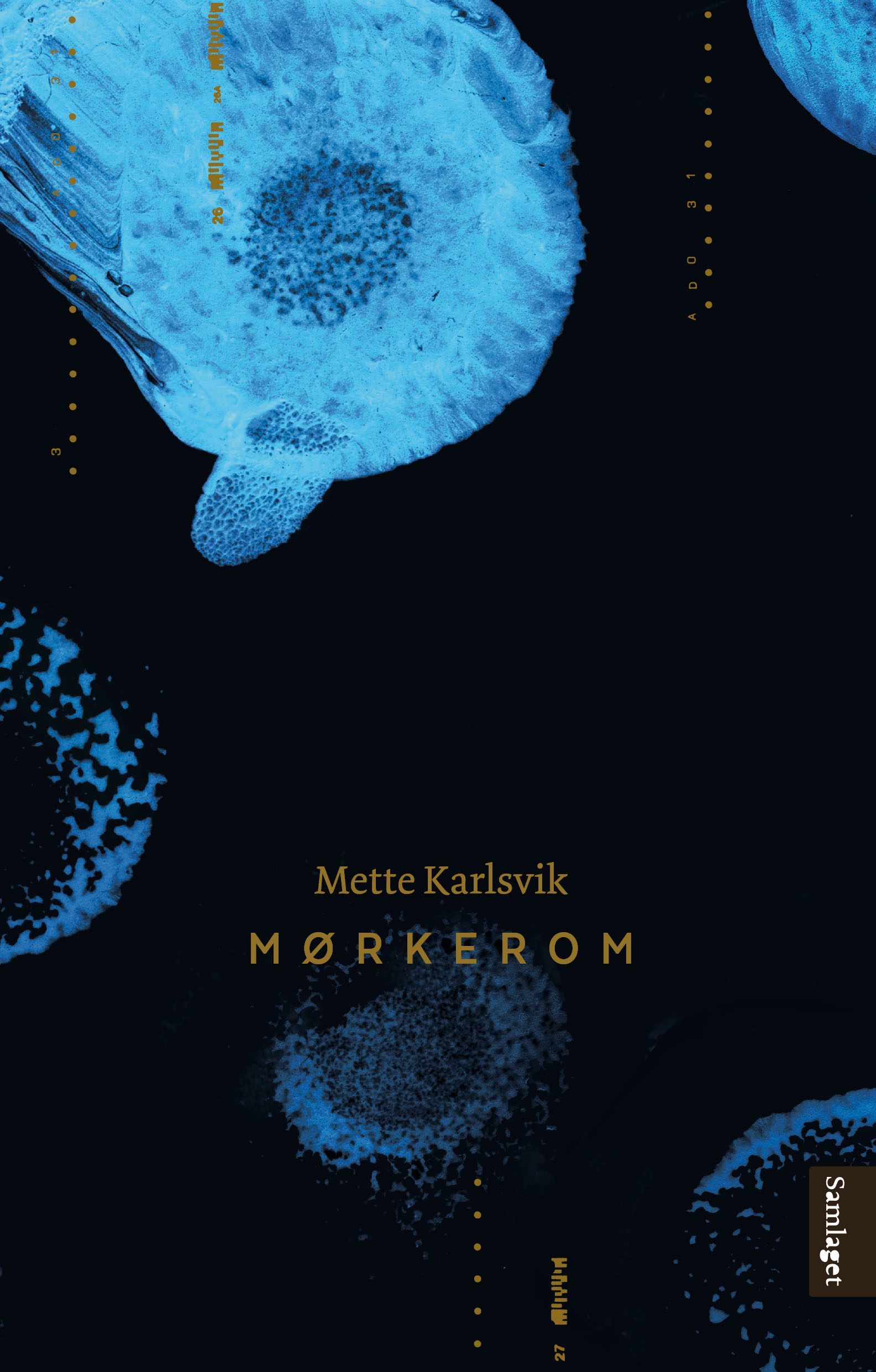 Mørkerom : roman