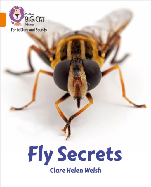 Fly Secrets : Band 06/Orange