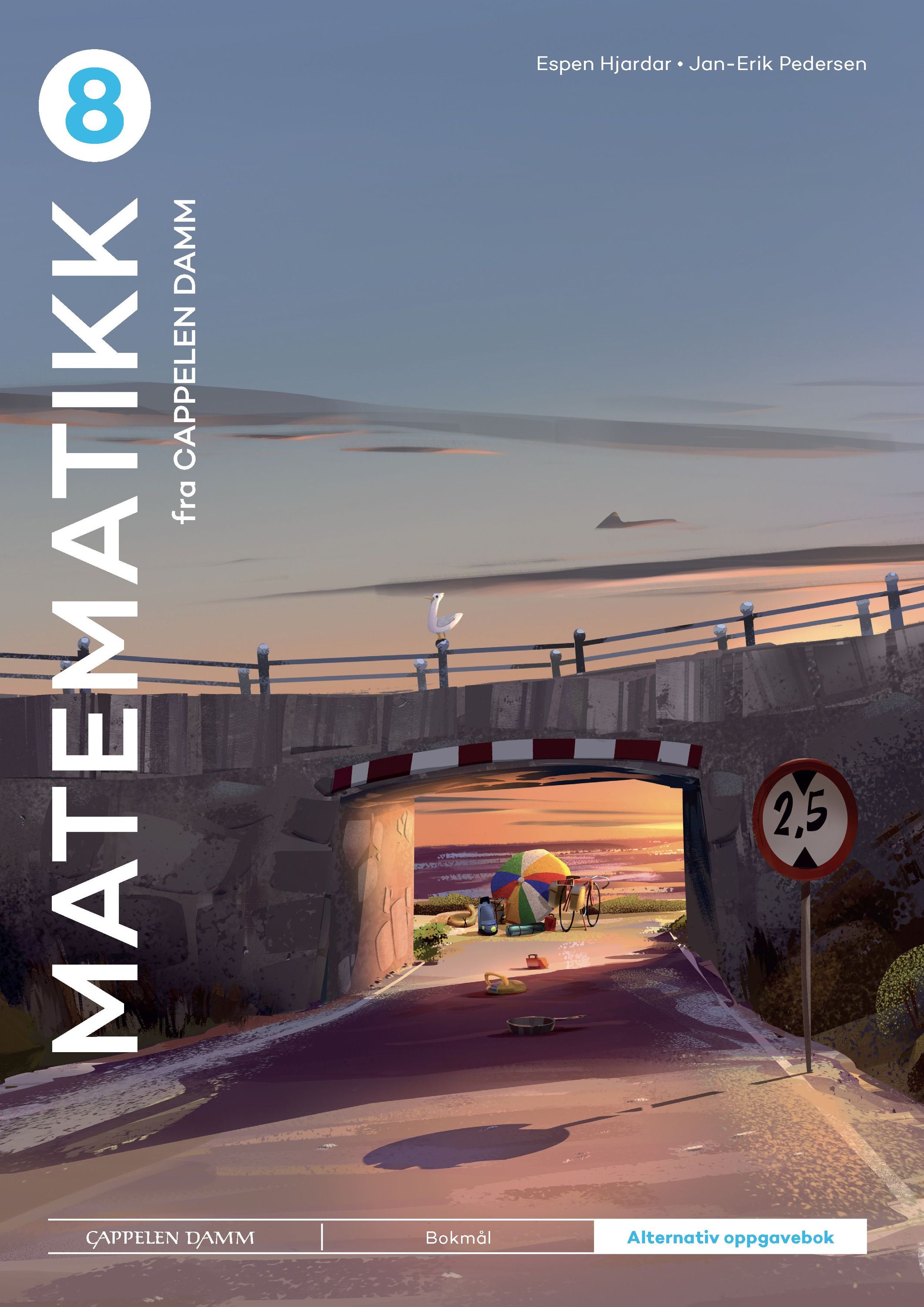 Matematikk 8 fra Cappelen Damm. Alternativ oppgavebok