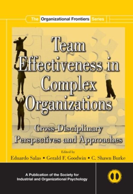 Team Effectiveness In Complex Organizations : Cross-Disciplinary Perspectives and Approaches