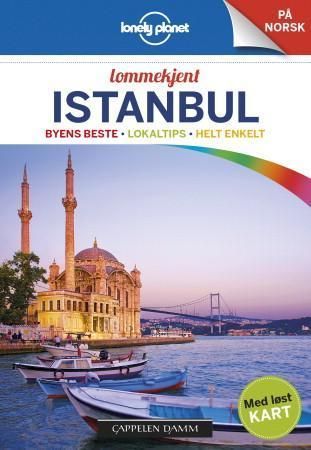 Istanbul : byens beste, lokaltips, helt enkelt
