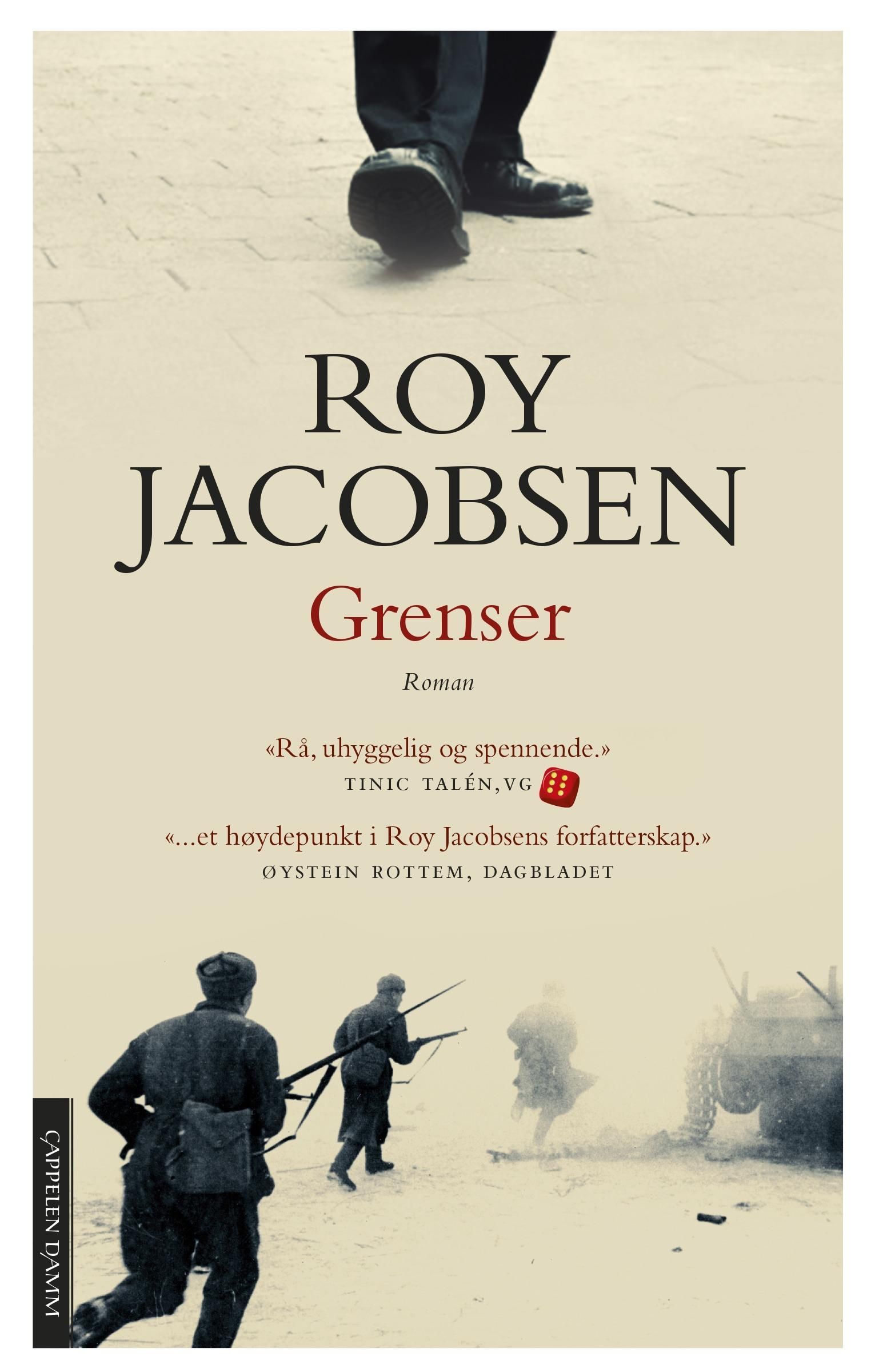 Grenser : roman