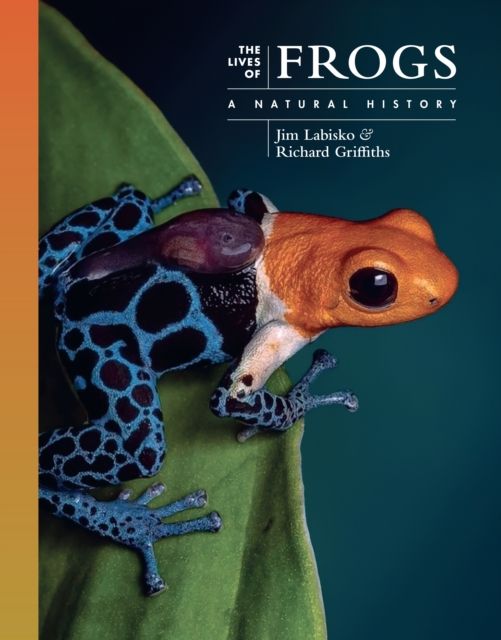 The Lives of Frogs : A Natural History