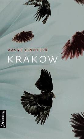 Krakow : roman