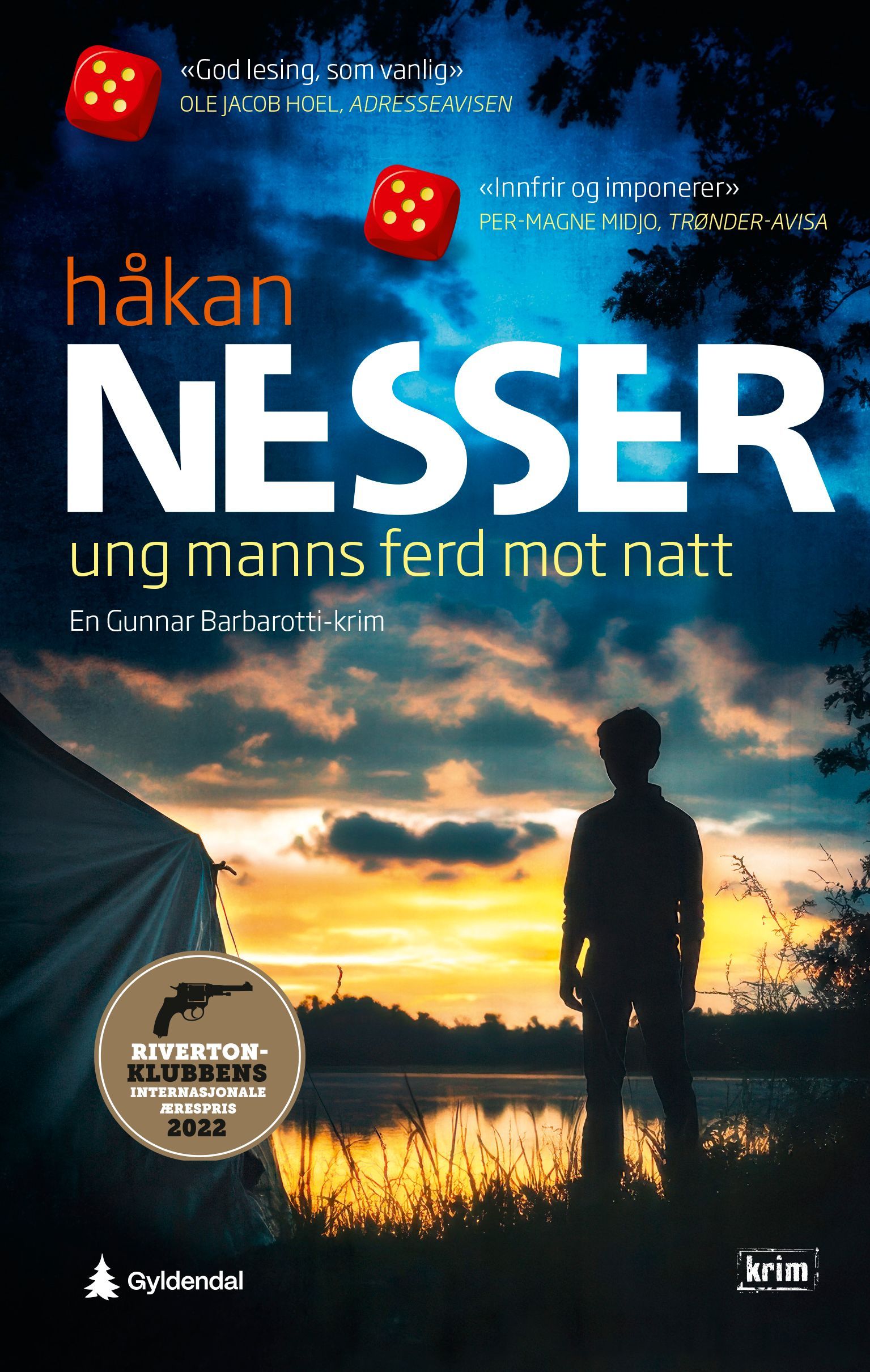Forsidebilde av Ung manns ferd mot natt