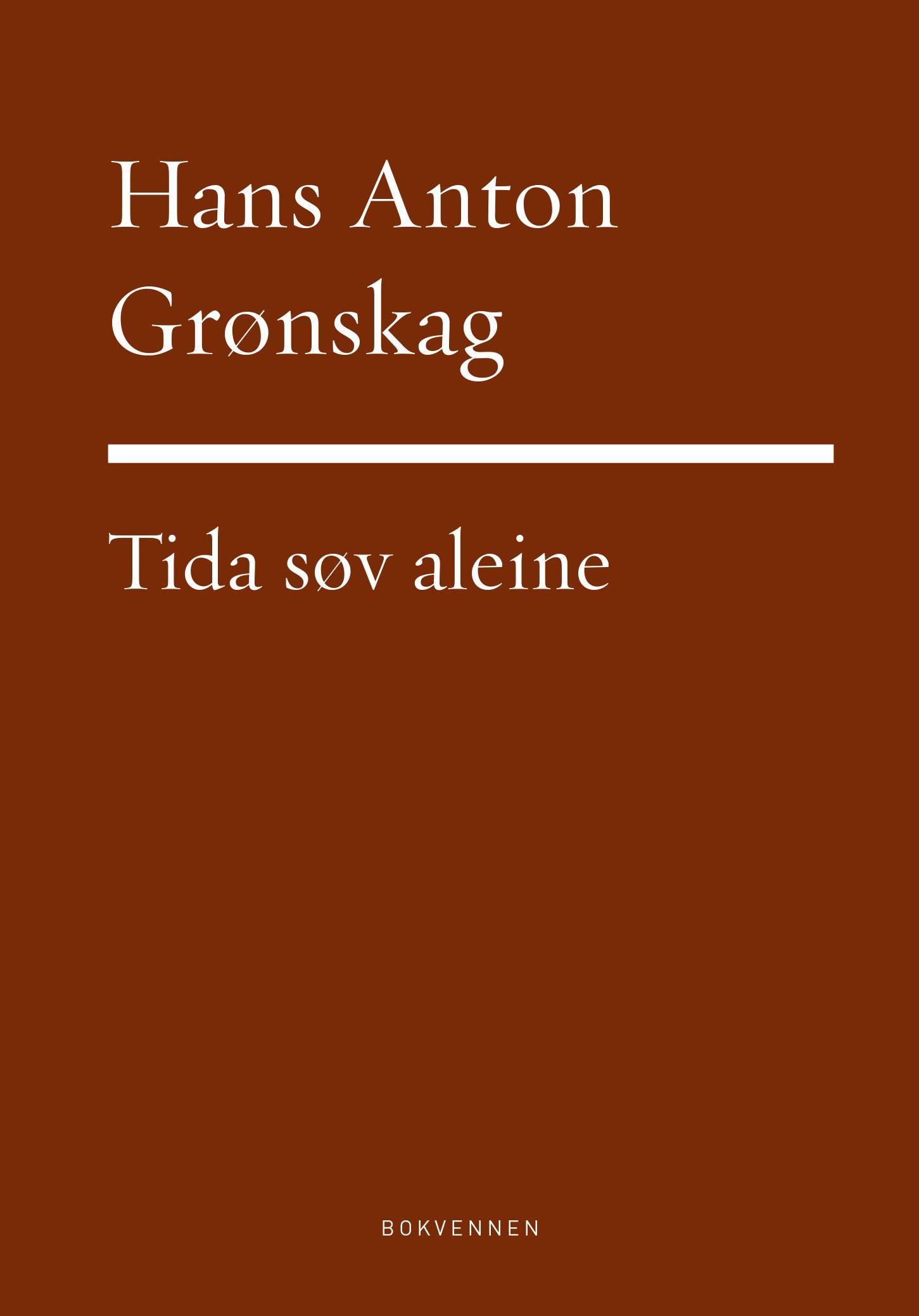 Tida søv åleine : dikt