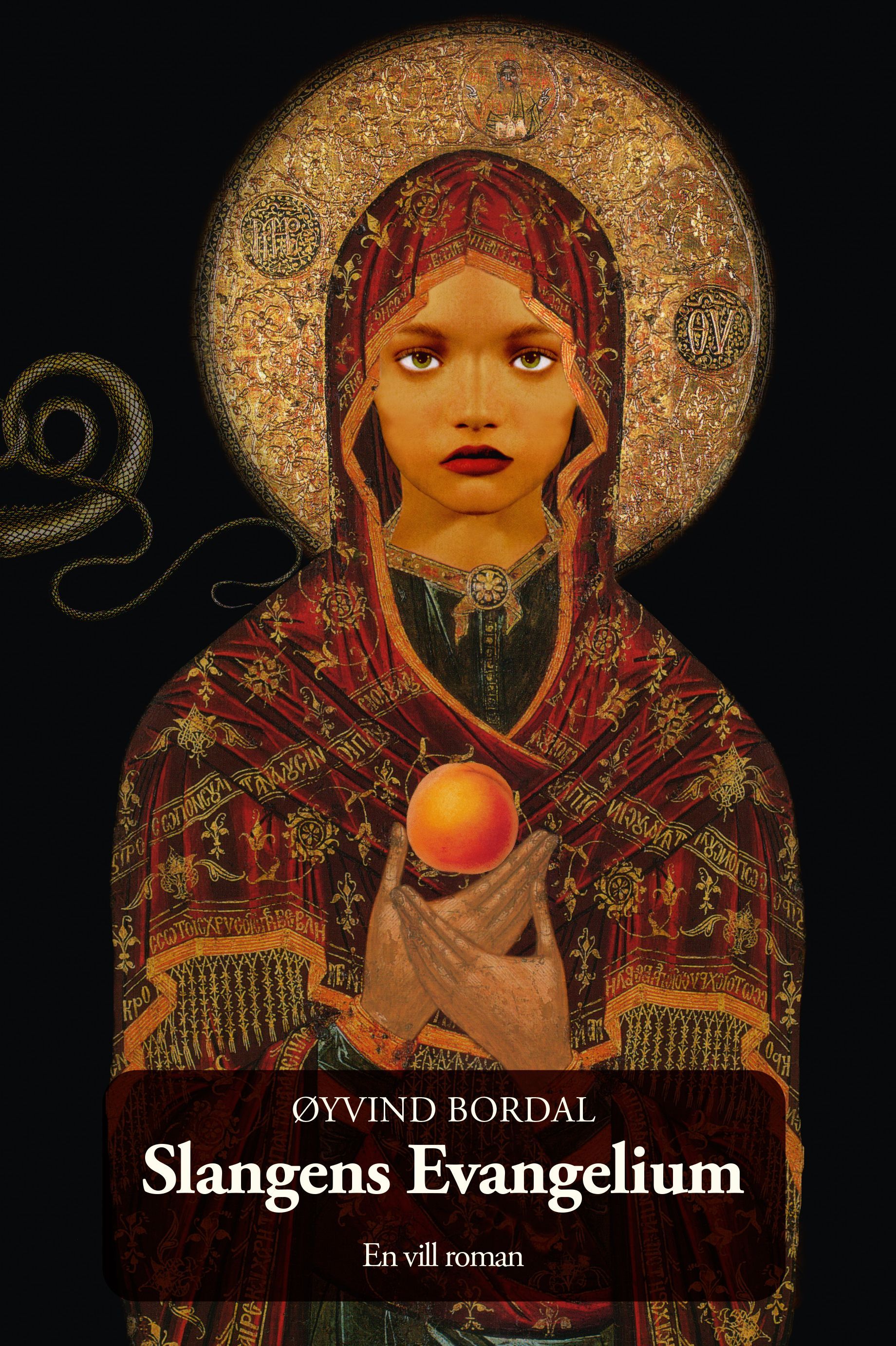 Forsidebilde av Slangens evangelium : roman