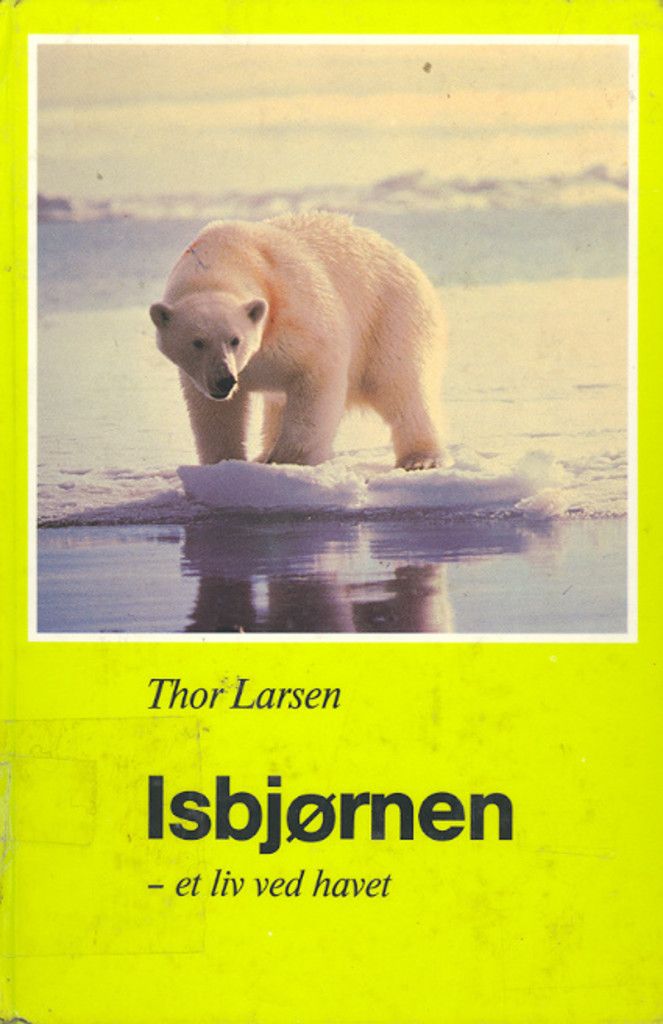Isbjørnen - et liv ved havet