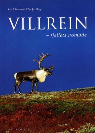 Villrein : fjellets nomade