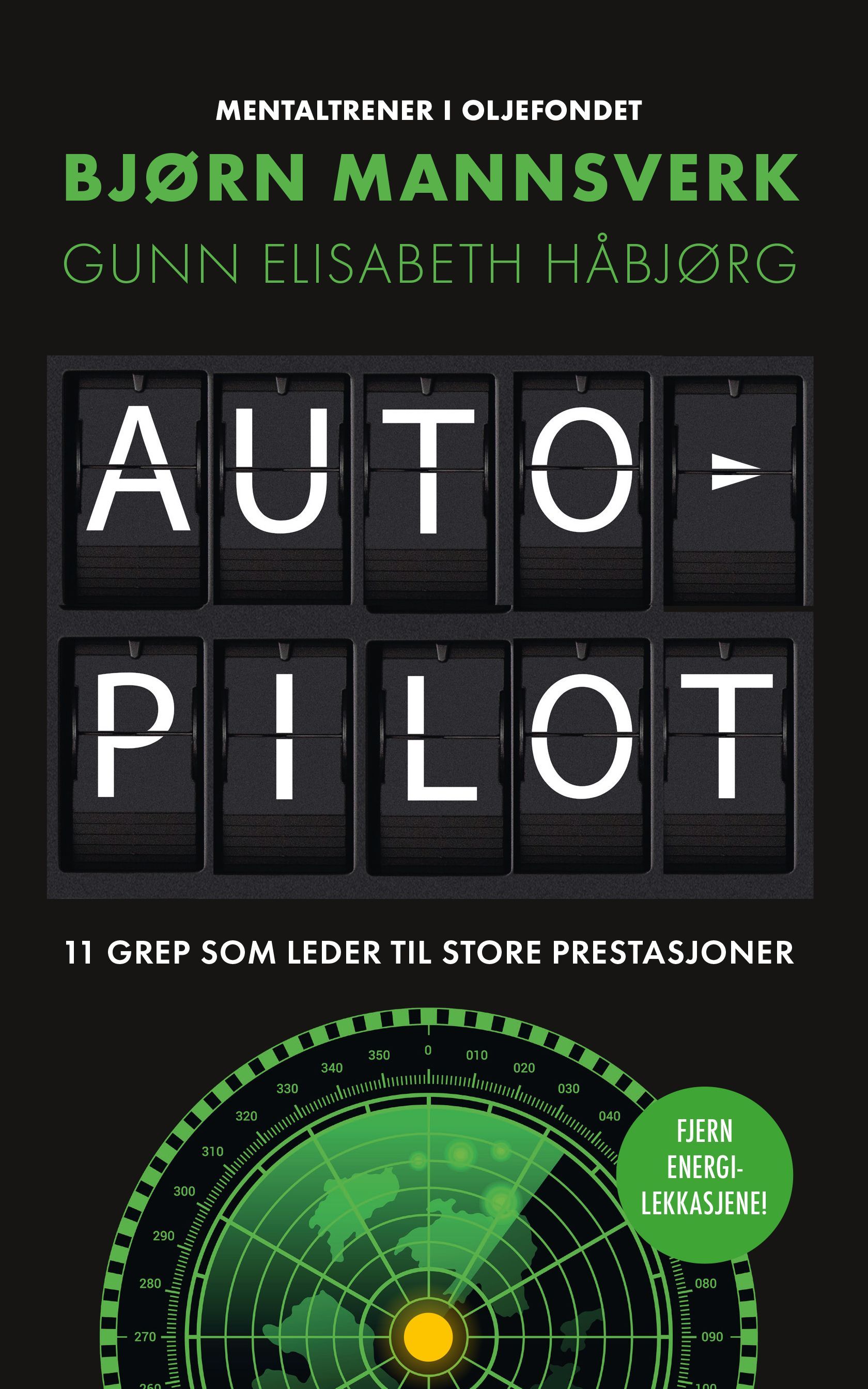 Autopilot : 11 grep som leder til store prestasjoner