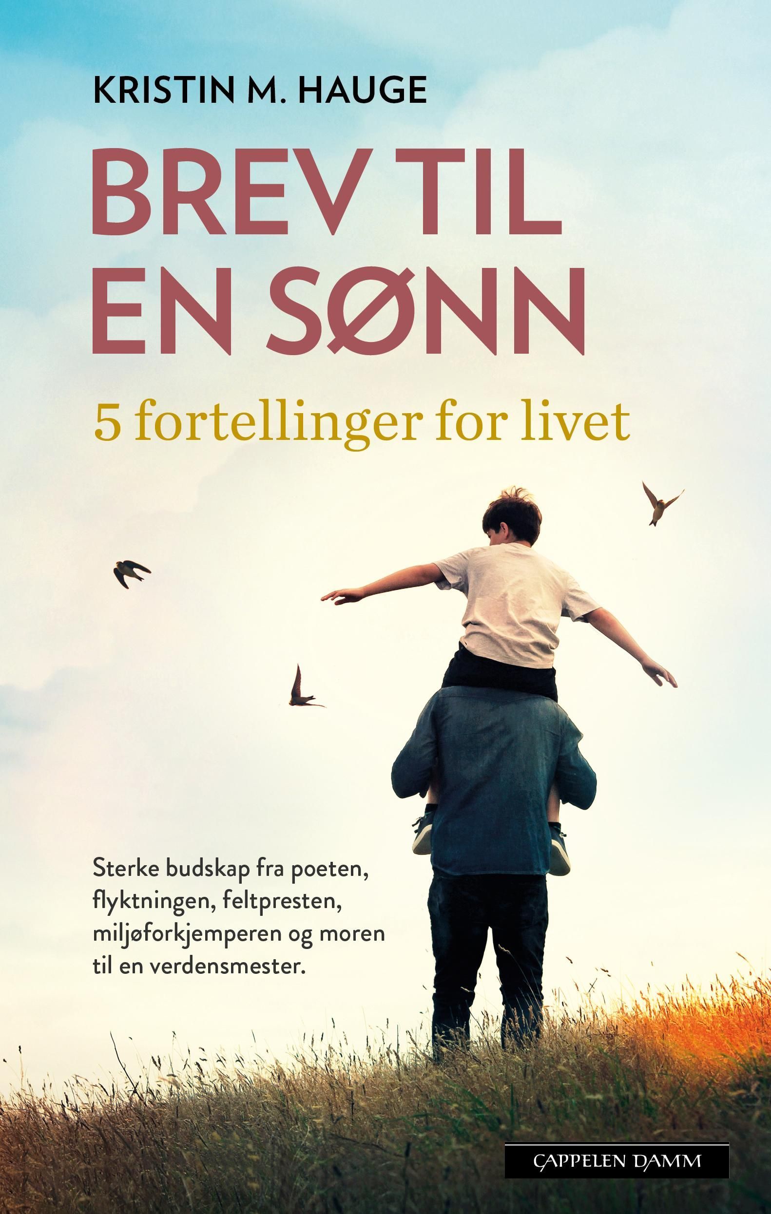 Brev til en sønn : 5 fortellinger for livet