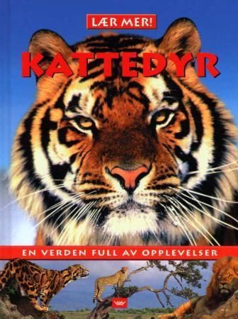 Kattedyr