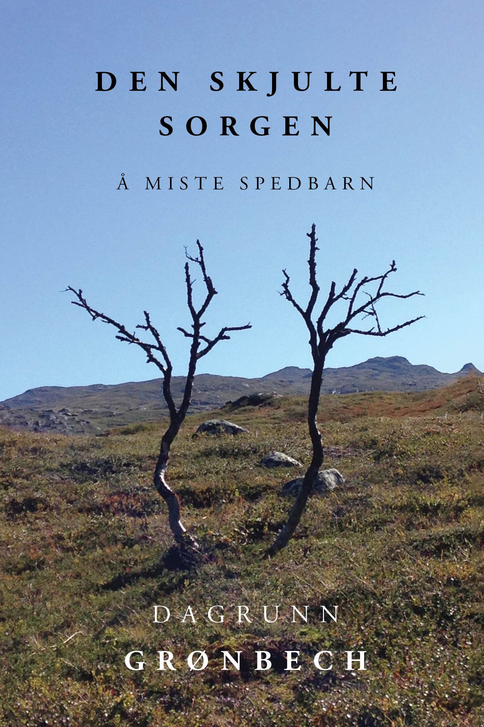 Den skjulte sorgen : å miste spedbarn