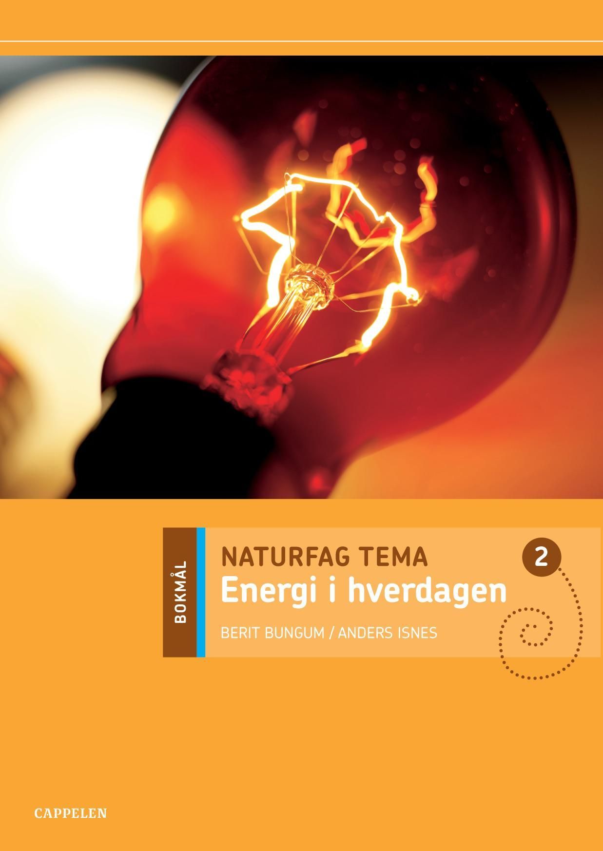 Energi i hverdagen