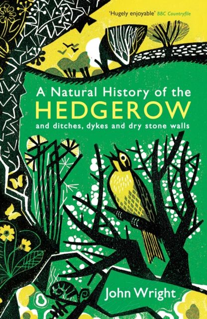 A Natural History of the Hedgerow : and ditches, dykes and dry stone walls