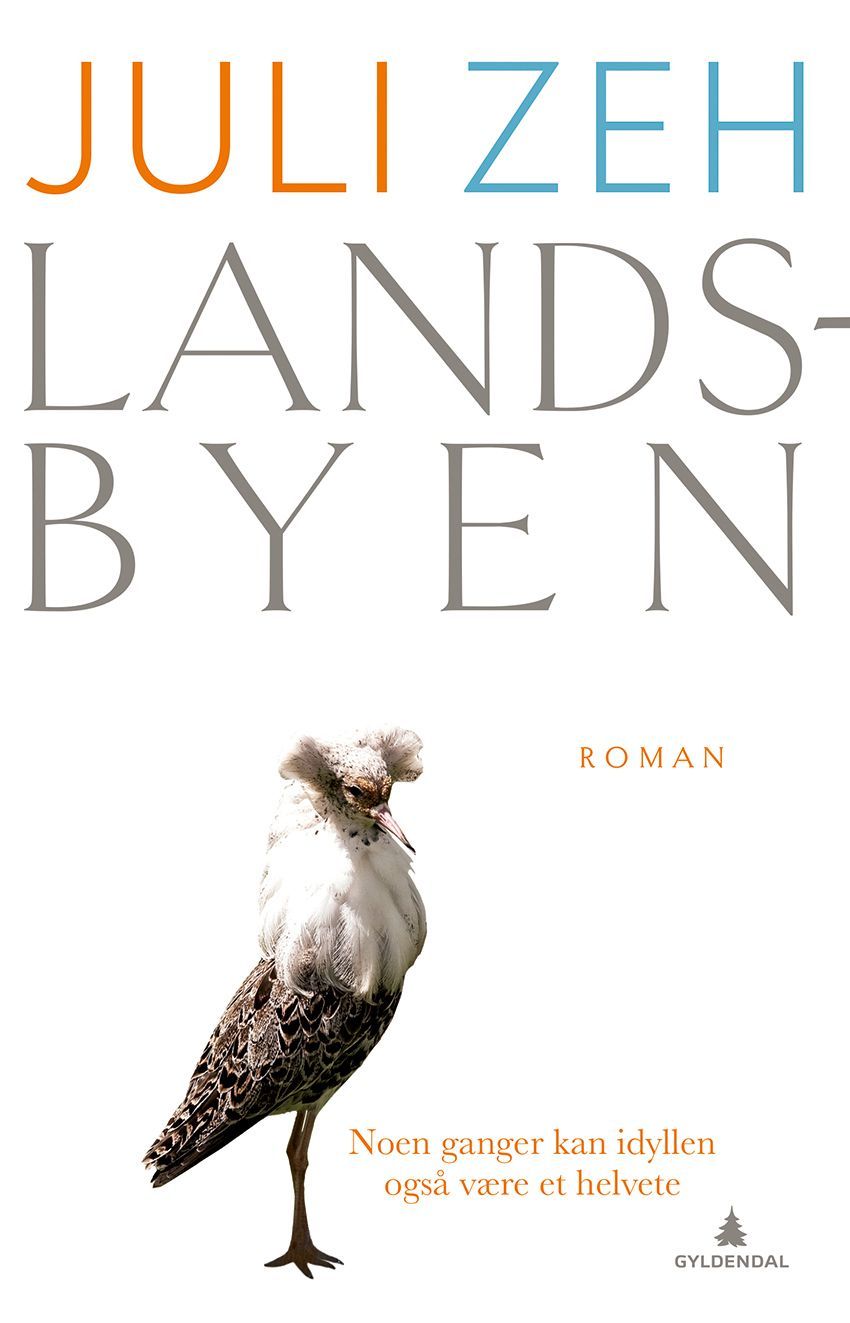 Landsbyen : roman