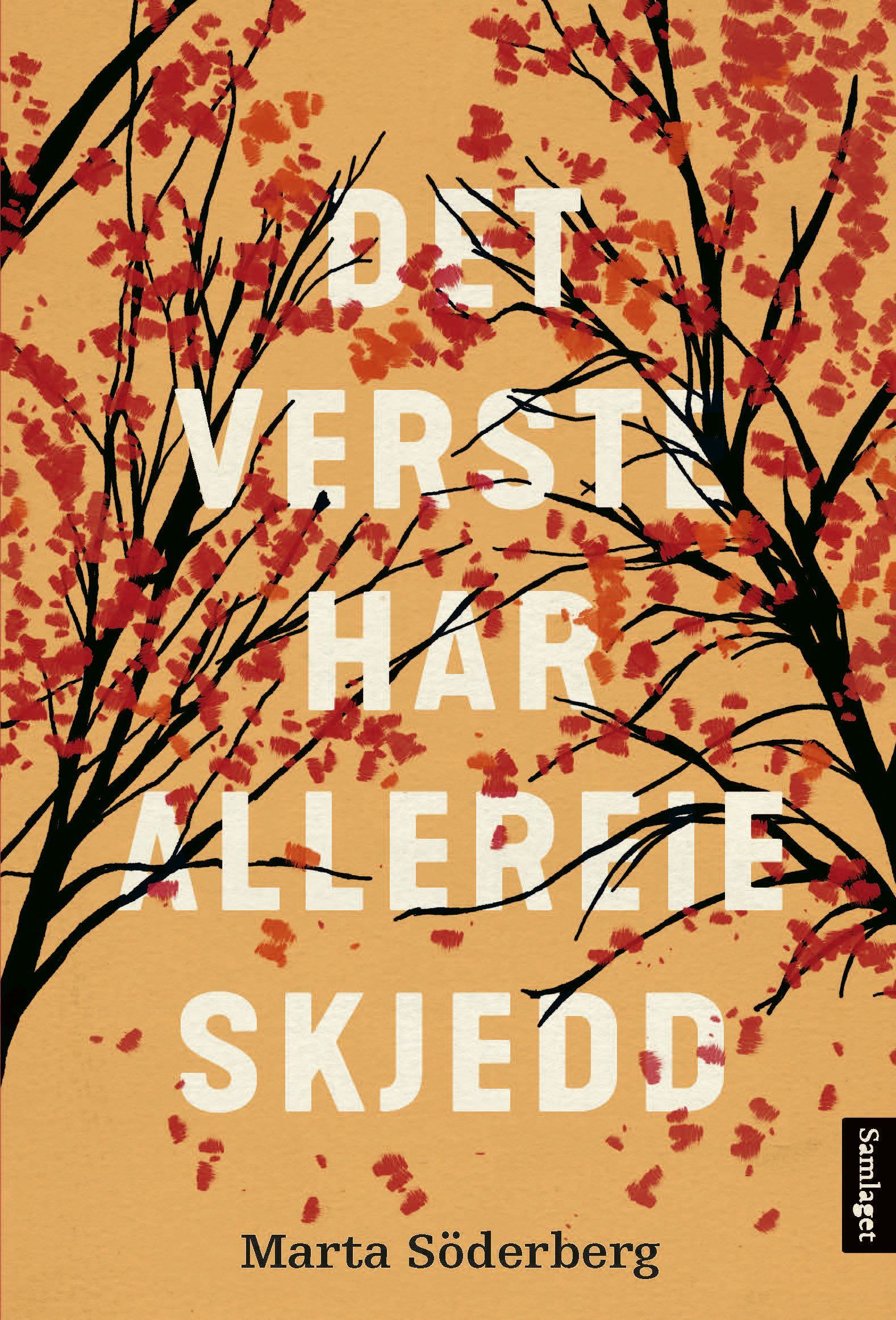 Det verste har allereie skjedd : roman