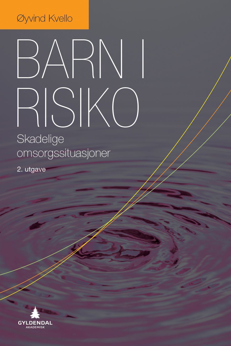 Barn i risiko : skadelige omsorgssituasjoner
