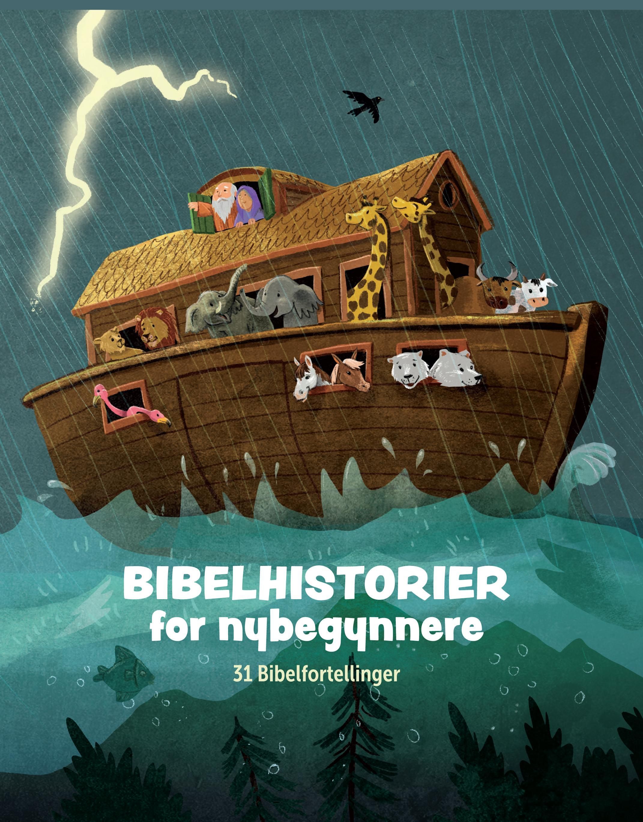 Bibelhistorier for nybegynnere : 31 historier fra Bibelen