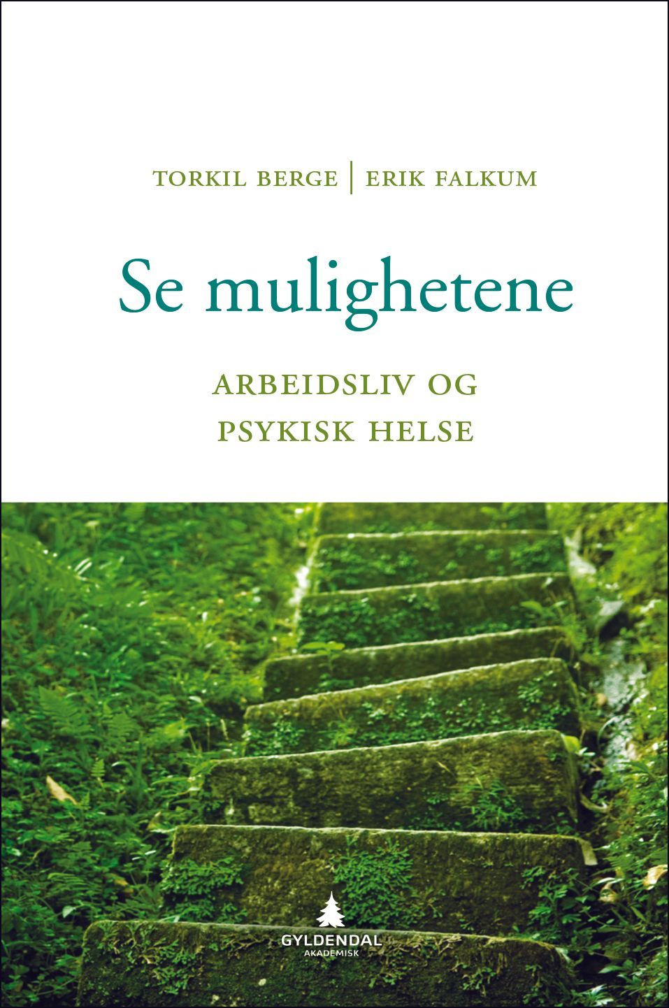 Se mulighetene : arbeidsliv og psykisk helse