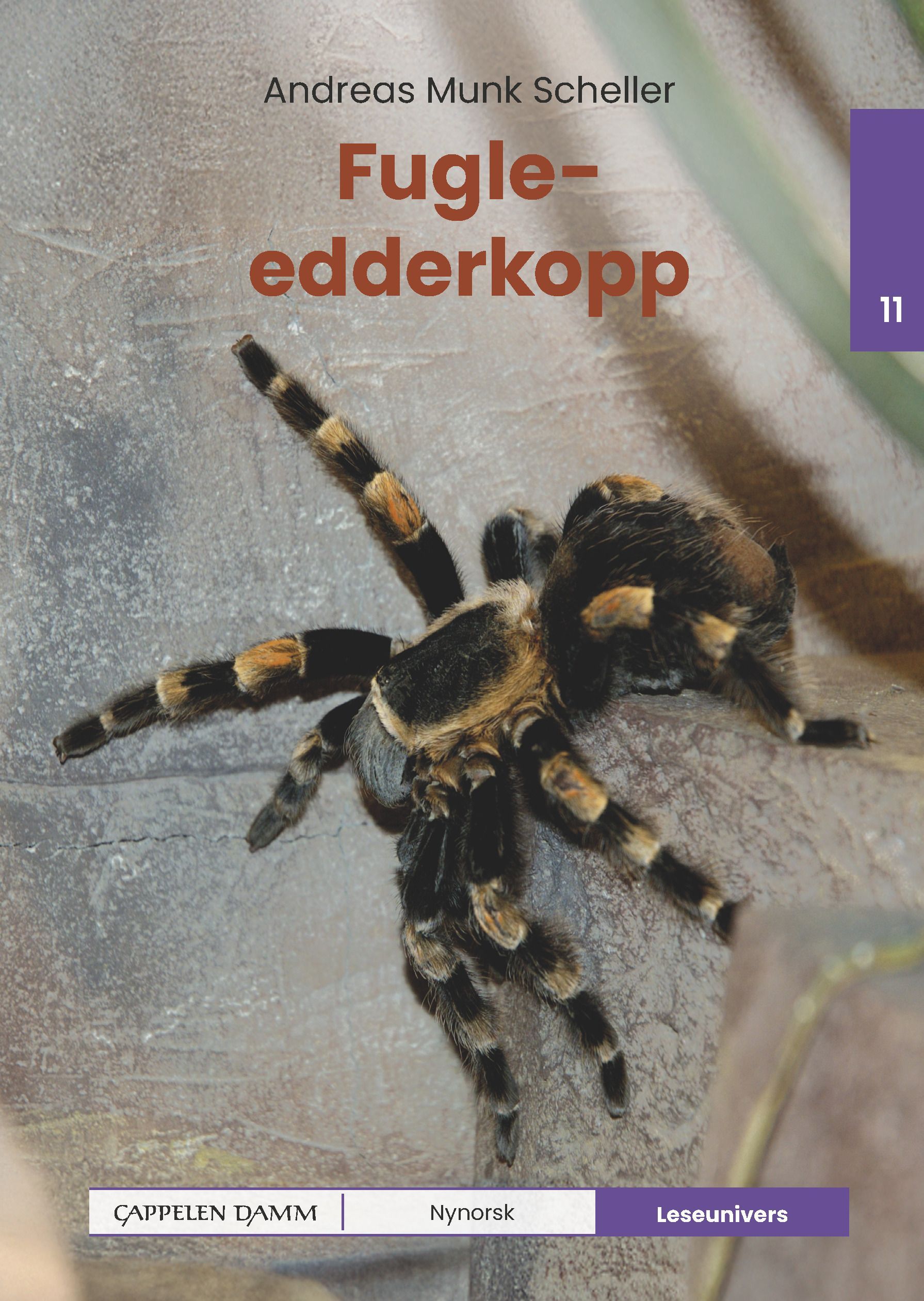 Forsidebilde av Fugleedderkopp