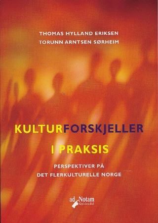 Kulturforskjeller i praksis : perspektiver på det flerkulturelle Norge