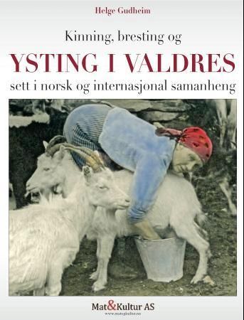 Kinning, bresting og ysting i Valdres : sett i norsk og internasjonal sammenheng : dokumentasjon av ein ystetradisjon