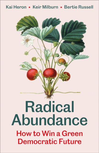 Radical Abundance : How to Win a Green Democratic Future
