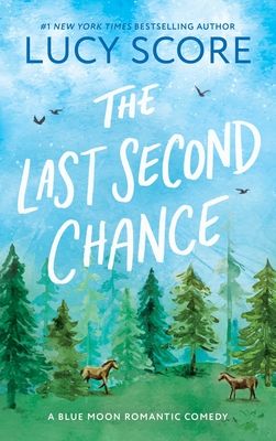 The Last Second Chance : A Small Town Enemies to Lovers Romcom
