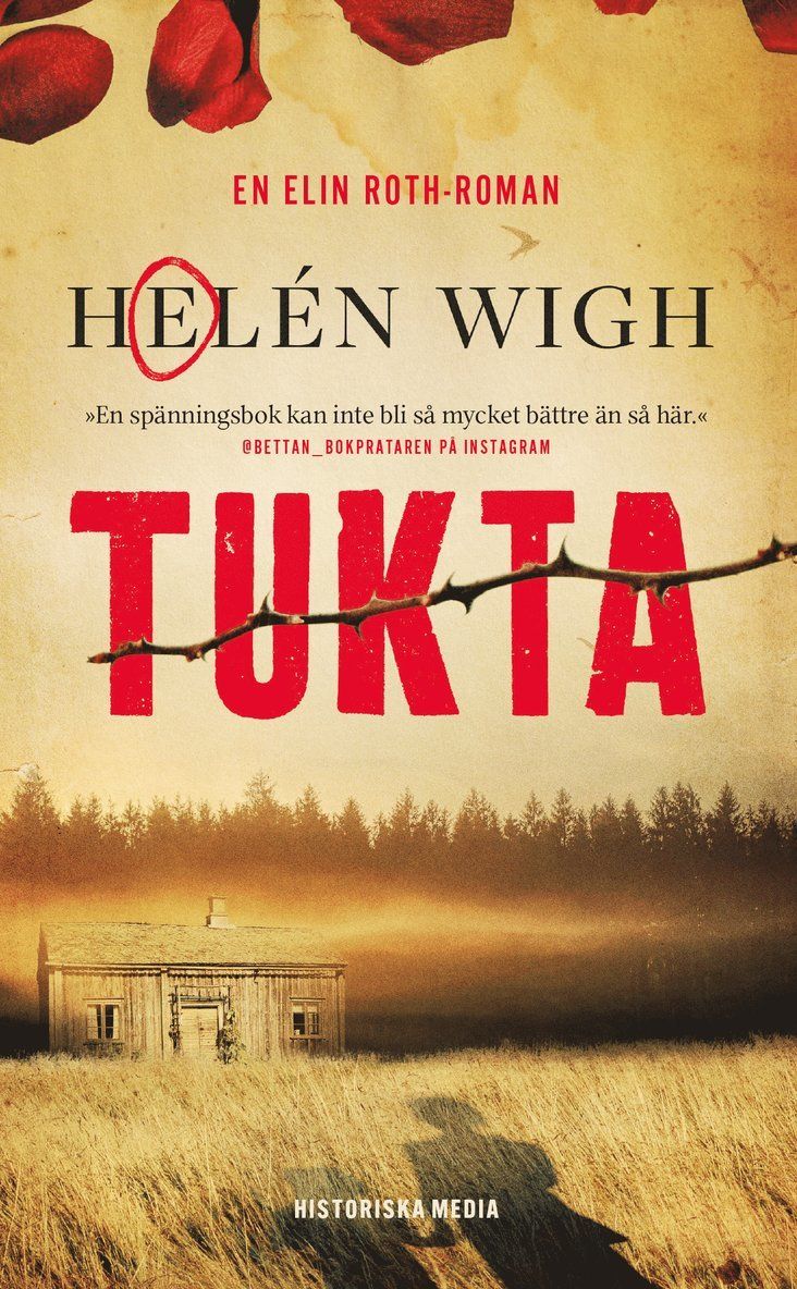 Tukta : en Elin Roth-roman