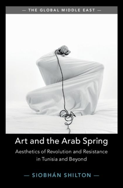 Art and the Arab Spring : Aesthetics of Revolution and Resistance in Tunisia and Beyond
