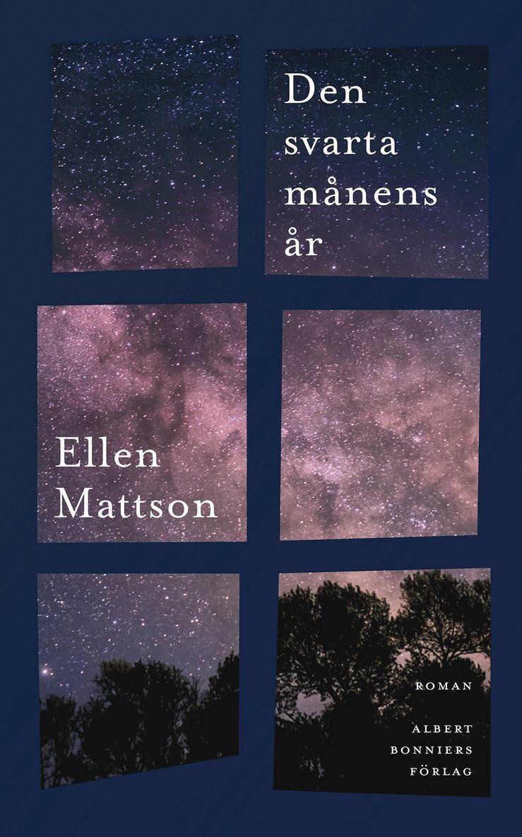 Den svarta månens år : roman